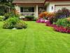 Photo for Lubbock Tree and Landscapings