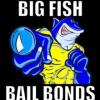 Photo for Big Fish Bail Bonds