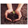 Photo for Soil Treatment Market: large potential for improving fertility of contaminated soil for better crops.