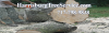 Photo for Harrisburg Tree Service