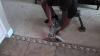 Photo for Carpet stretching service