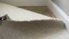 Photo for Carpet removal services