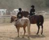 Photo for HORSE SHOWS at Somewhere Farm