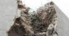 Photo for Global Concrete Fiber Market is Expected to Cross USD 2.84 Billion by 2020