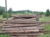 Photo for Cedar fence post services