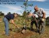 Photo for Tree Care & Service Pasadena