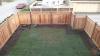 Photo for Certified arborist