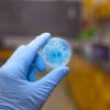 Photo for Global Antimicrobial Coating Market 2016 Industry Analysis, Trends, Segment & Forecast up to 2020
