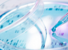 Photo for Regenerative Stem Cell Therapy Redefining Healthcare Practices