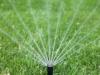 Photo for Gomez landscaping