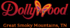 Photo for Smoky Mountain Resort Pigeon Forge TN - Dollywood's DreamMore Resort
