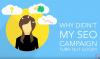 Photo for San Diego SEO