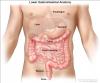 Photo for Gastrointestinal Electrocardiograph Market –Global Industry Perspective, Comprehensive Analysis and Forecast 2015 - 2021