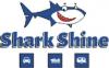 Photo for Shark Shine