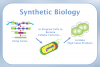 Photo for Global Synthetic Biology Market Segment Forecasts up to 2020, Research Reports- SyndicateMarketResearch