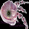 Photo for Printed Gifts for Christmas