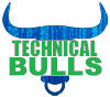 Photo for Technical Bulls