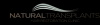 Photo for Natural Transplants, Hair Restoration Clinic