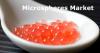 Photo for SMR: Microspheres Market  Value Share, Supply Demand, share and Value Chain 2015-2021