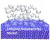 Photo for Cellulose Nanoparticles Market Dynamics, Forecast, Analysis and Supply Demand 2014-2020