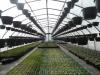 Photo for Global Greenhouse Horticultur Market Outlook And Research Survey To 2016 - Market Reports Center