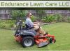 Photo for Endurance Lawn Care