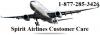 Photo for Spirit Airlines Customer Service-Support Number 1-877-285-3426 Spirit Airlines reservation cancellation booking phone number