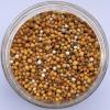Photo for Controlled Release Fertilizers Market Volume Forecast and Value Chain Analysis 2016-2020