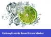 Photo for SMR: Carboxylic Acids Based Esters Market Segments, Opportunity, Growth and Forecast By End-use Industry 2016-2021