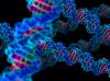 Photo for kinase screening