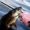 Photo for Butch's Fishcamp & RV Park