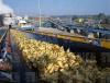 Photo for Europe Conveyor System market to Reach 12 billion by 2020, Growing at CAGR of  2.8%  by 2020