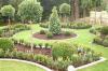 Photo for Landscape Gardeners