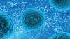 Photo for Future Trends in Stem Cell Treatments