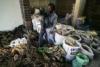 Photo for Psychic, Astrologer, Fortune Teller, Money Spells, Job Spells, Lost Love Spells, Call MumLatibu +27727598382
