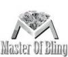 Photo for Master of Bling