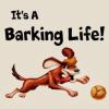 Photo for Barking Life Pet Concierge