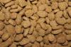 Photo for Probiotics in Animal Feed Market: increases digestive habits and healthy growth in the animals on farm.