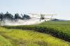 Photo for SMR:Herbicides Market size and Key Trends in terms of volume and value 2015-2021