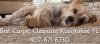Photo for Carpet Cleaning Kissimmee