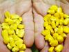 Photo for Seed Coating Materials Market: growing at a CAGR of 7.5% from 2016 to 2021 - IndustryARC