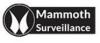 Photo for Mammoth Surveillance Camera Systems Boston