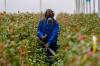 Photo for Biopesticides Market 2016 Industry Growth, Demand , Price and Forecast to 2020