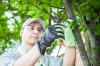Photo for Tree Removal Sacramento