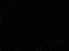 Photo for Tristar Insurance Services, LLC