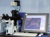 Photo for SMR: Global Laser Capture Microdissection Market share, Trends and value 2020