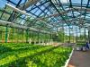 Photo for US is prominent investor in green house farming for off season produce through 2021.