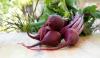Photo for Betaine Market - Global Industry Perspective, Comprehensive Analysis and Forecast, 2015- 2021