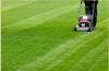 Photo for Arvada Lawn care Services