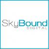 Photo for Skybound Digital LLC